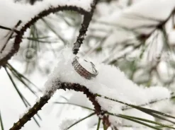 Tytanowe kółko clicker z trzema rzędami cyrkonii - srebrny - TK-040