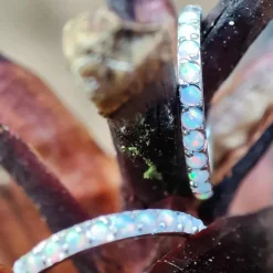 Tytanowe kółko ozdobne CLICKER - OP18 - TK-035