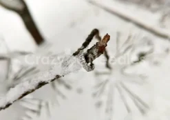 Tytanowe kółko ozdobne CLICKER srebrne - TK-037