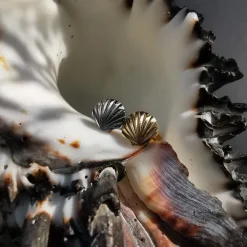 Tytanowy kolczyk labret muszla srebrny